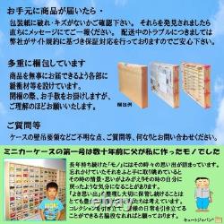 Collection N Gauge Model Train Case, Acrylic with Shoji, Maple Paint, Made in Ja