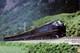 Kato N Gauge E655 Series Nagomi Japanese 5-car Set Model Train 10-1991