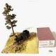 Kiso Forest Railway B1 Locomotive Tsubomi-do Ho 16.5mm Gauge Model Train Rear