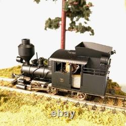 Kiso Forest Railway B1 Locomotive Tsubomi-Do Ho 16.5Mm Gauge Model Train Rear