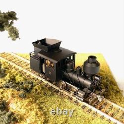 Kiso Forest Railway B1 Locomotive Tsubomi-Do Ho 16.5Mm Gauge Model Train Rear