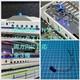 N Gauge Model Train, Panta Spark, About 5 Seconds Apart, Set Of 2, Can Be Used T