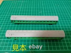 Soviet Russian Passenger Car 2 Type Model Train N Gauge Kit Total 2 Car Set #1e5