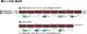 Tomix N Gauge Jnr 7273type Commuter Train Basic Set 98464 Model Train Brown